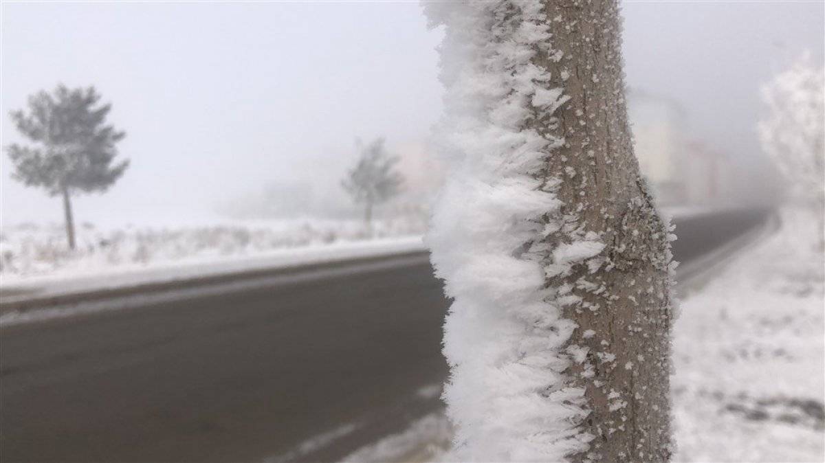 Kars'ta kırağı güzelliği