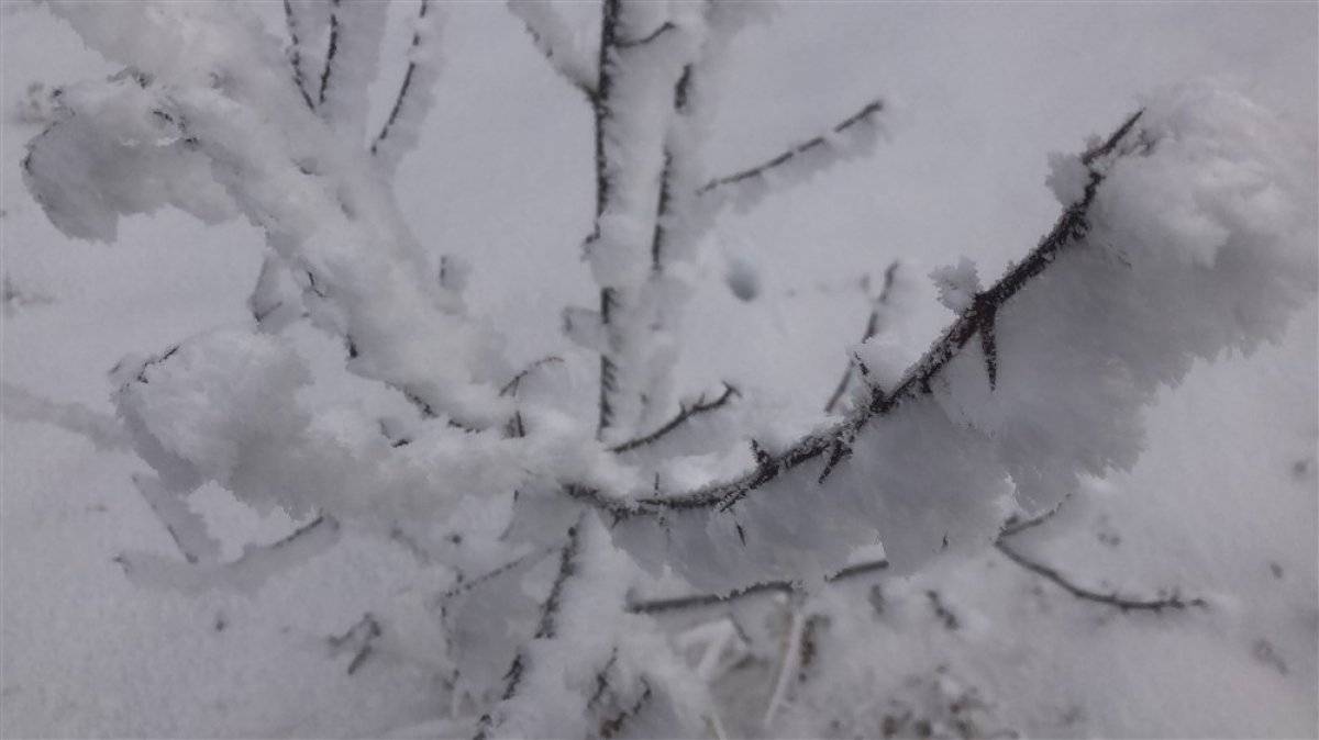 Kars'ta kırağı güzelliği