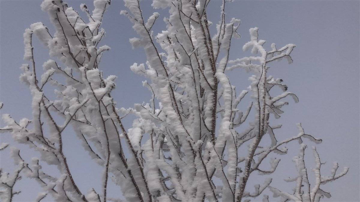Kars'ta kırağı güzelliği