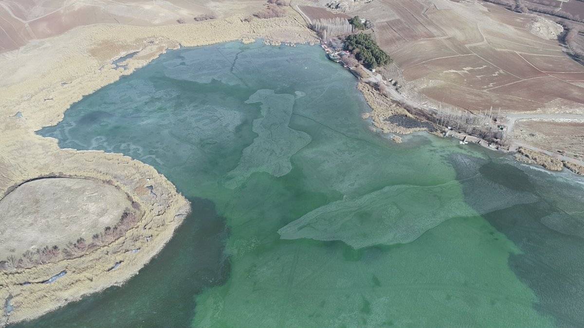 Sivas'ta bir tarafta kış, bir tarafta bahar havası