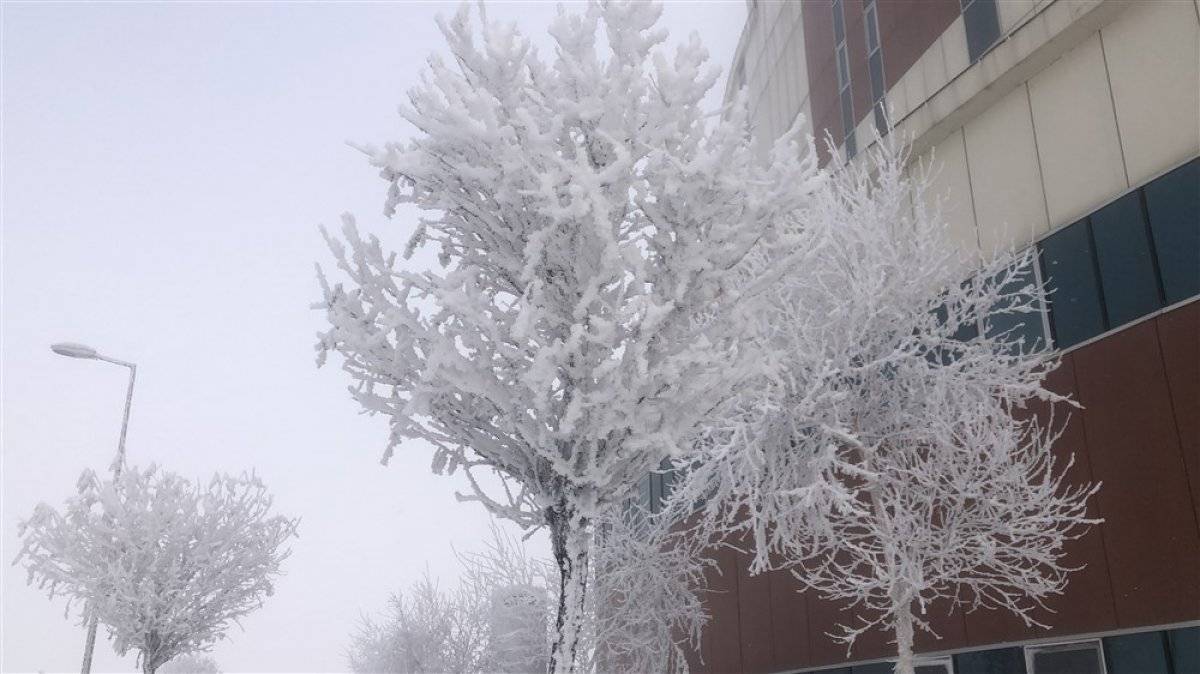 Kars'ta kırağı güzelliği