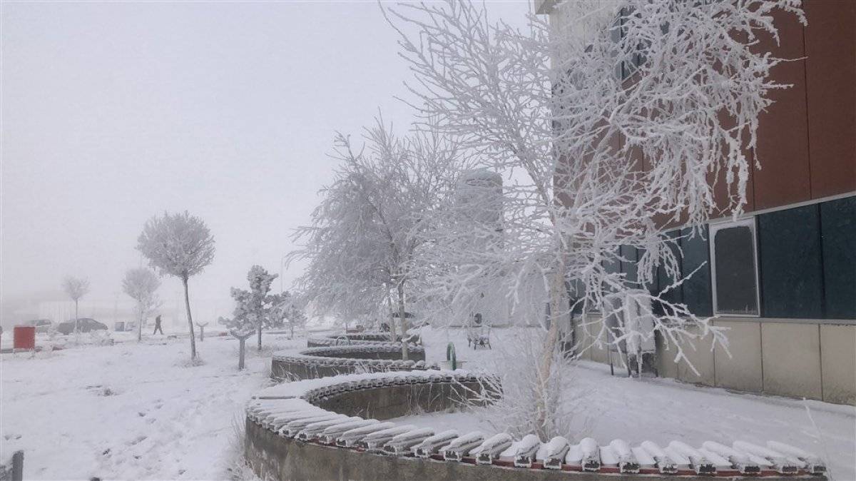 Kars'ta kırağı güzelliği