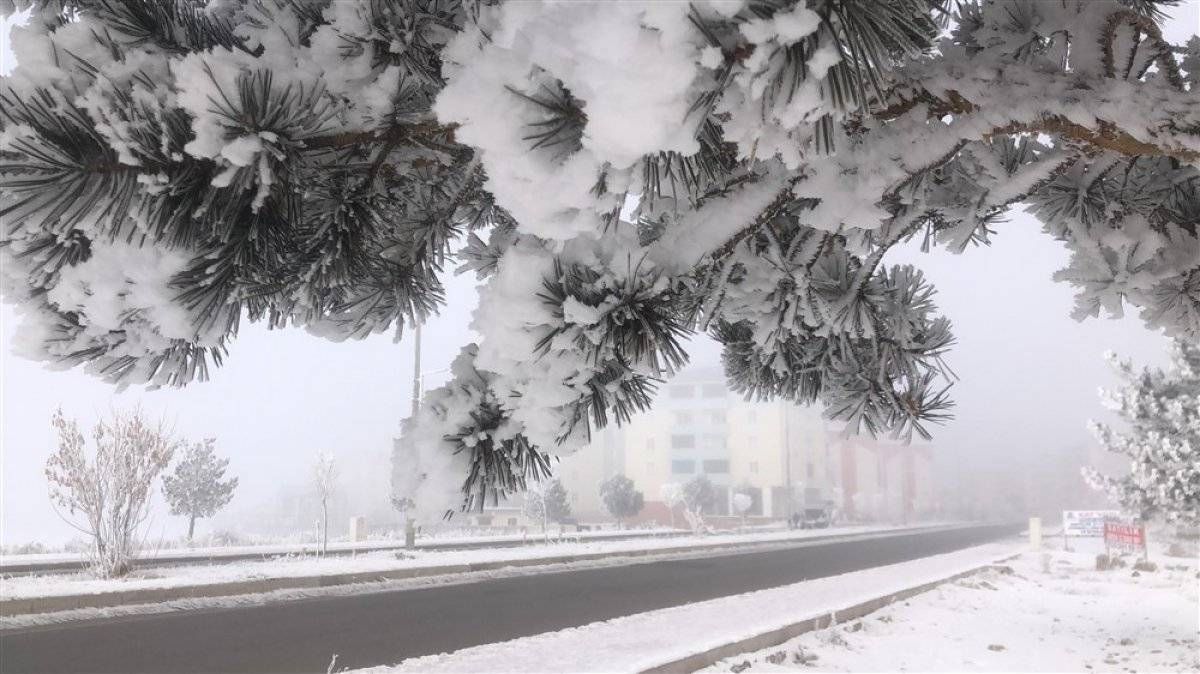 Kars'ta kırağı güzelliği