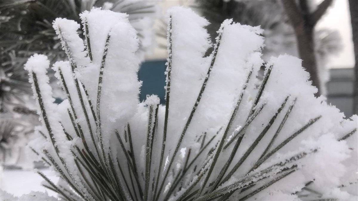 Kars'ta kırağı güzelliği