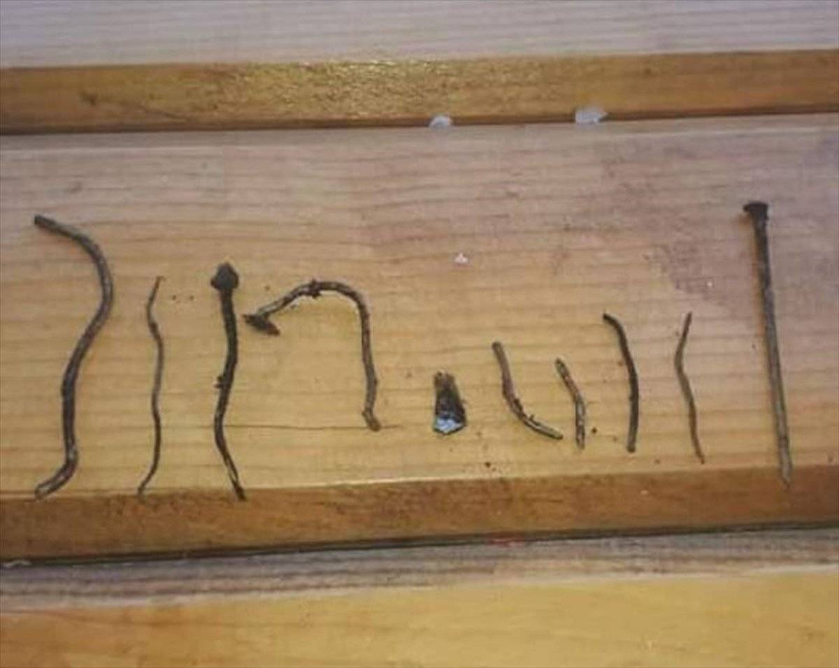 Giresun'da gebe ineğin midesinden çivi çıktı