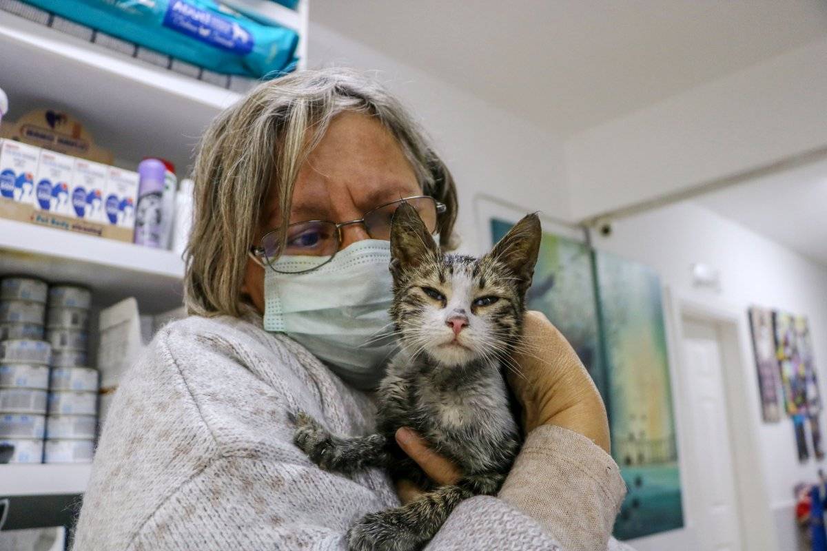 Antalya'da kedileri için bankadan kredi çeken kadının evi yandı