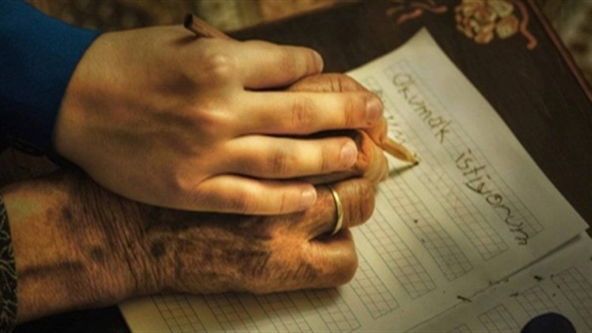 Hayat boyu öğrenme kurumları nelerdir? MEB Hayat boyu öğrenme kursları ne zaman başlıyor?