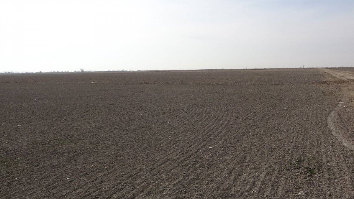 Konya Ovası kuraklıkla mücadele veriyor