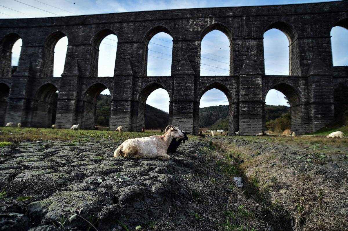 İstanbul'da kuraklığın en net görüntüsü