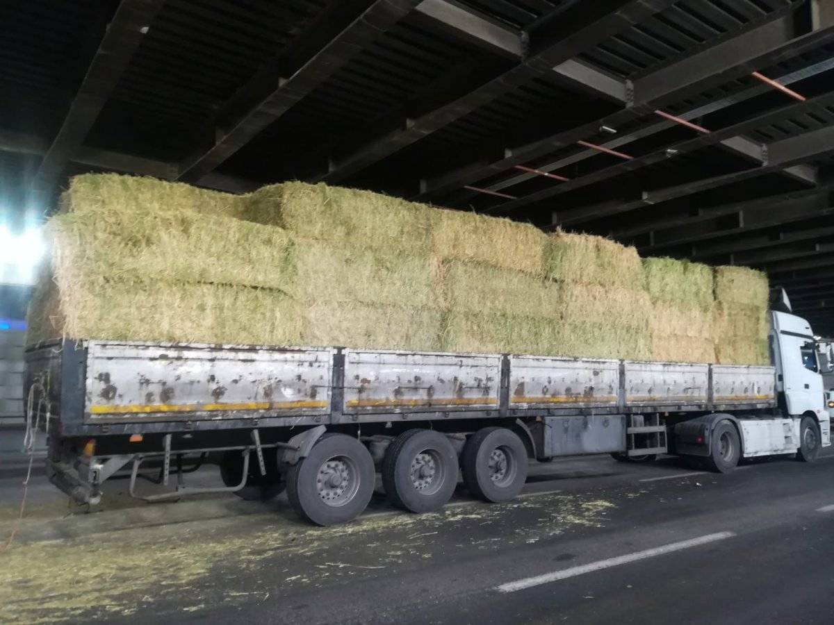 İzmir'de alt geçide sıkışan tırdaki samanlar yola saçıldı