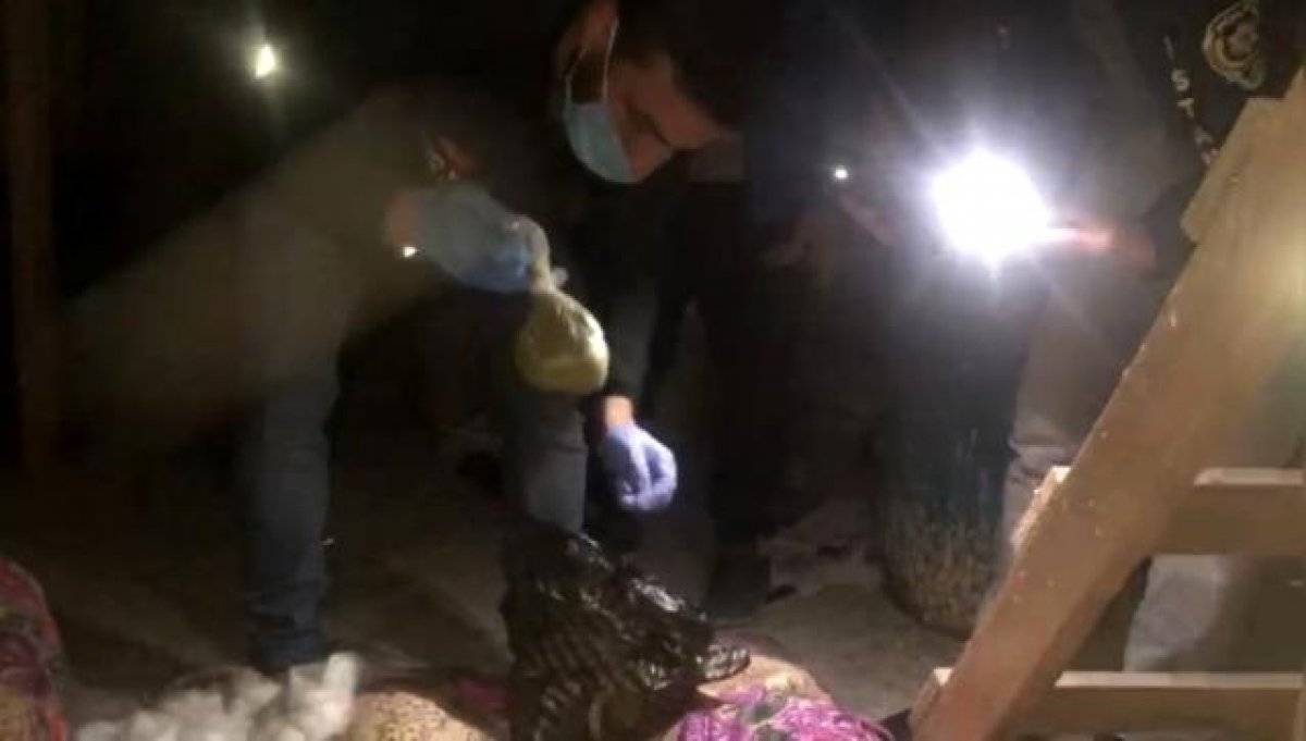 İstanbul’da uyuşturucu operasyonu: 55 kilo toz kubar ele geçirildi