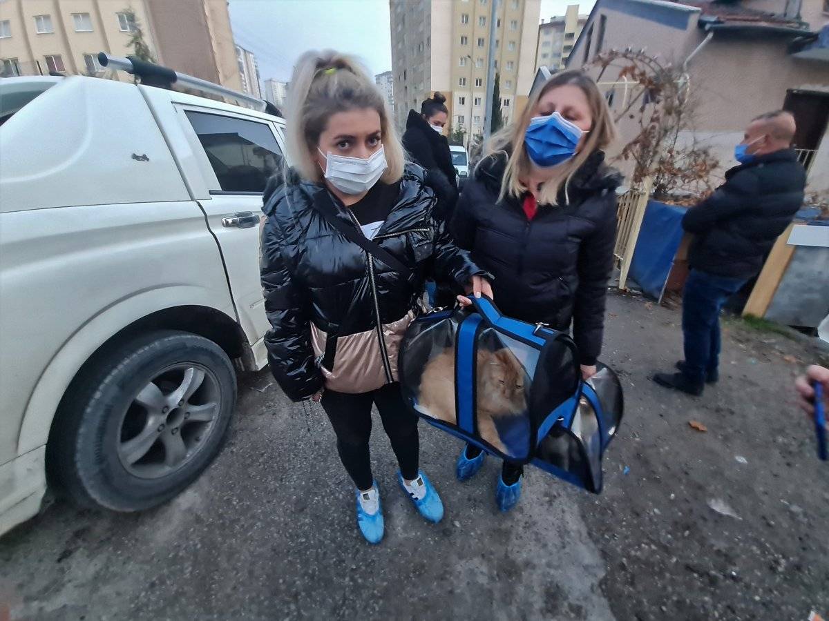 Ankara’da medyum hayvan beslemekten men edildi