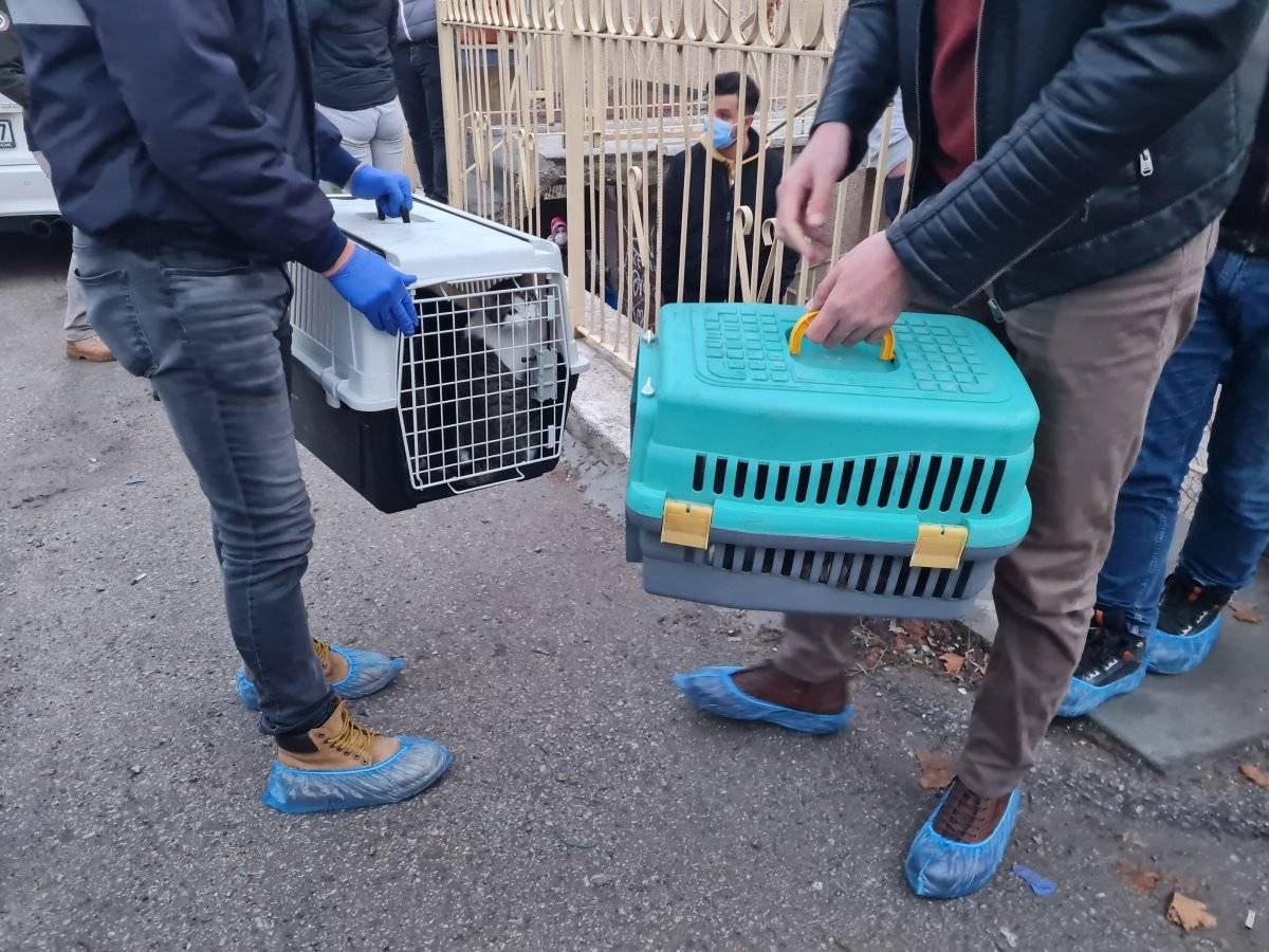 Ankara’da medyum hayvan beslemekten men edildi