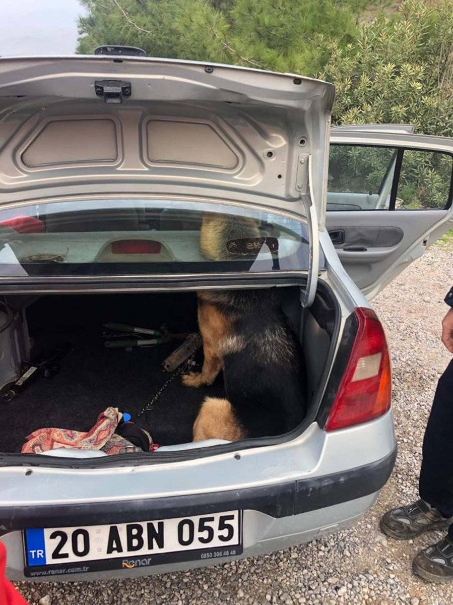 Muğla'da başı hoparlör boşluğuna sıkışan köpek kurtarıldı