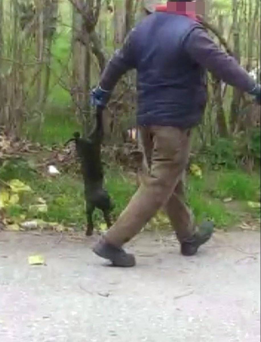 Sakarya'da genç kız, köpeğin üzerine bastığı için uyardığı komşusu tarafından darbedildi