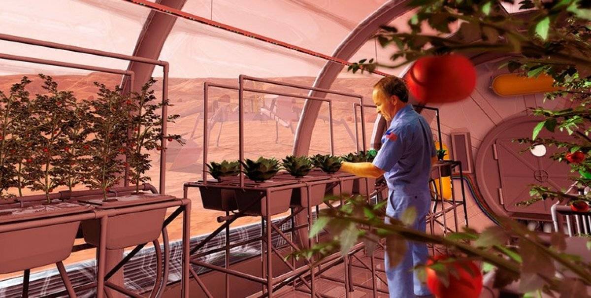 Elon Musk, Mars kolonisi için tüm mülklerini satacak