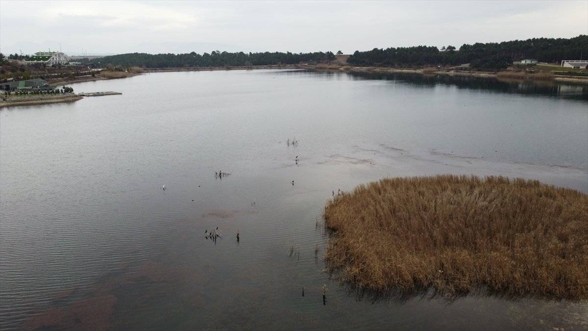 Pelitözü Göleti'nde yağış azlığı nedeniyle su 30 metre çekildi