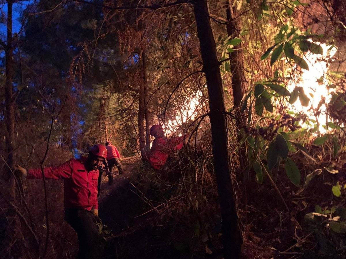 Rize'de araziyi temizlemek isterken yangın çıkardı