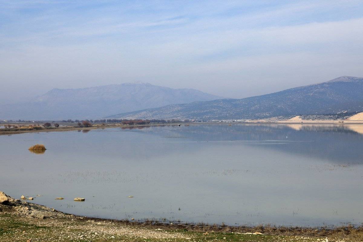 Antalya'da kuruyan Avlan Gölü, koyun ve keçi sürülerine kaldı