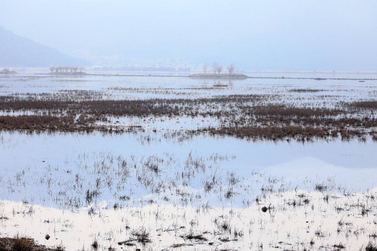 Antalya'da kuruyan Avlan Gölü, koyun ve keçi sürülerine kaldı