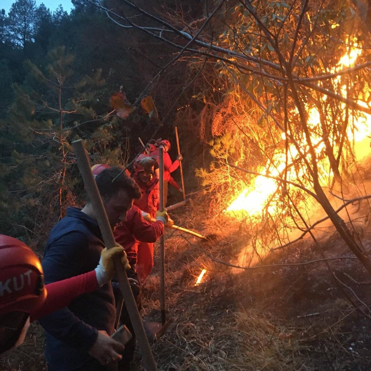 Rize'de araziyi temizlemek isterken yangın çıkardı