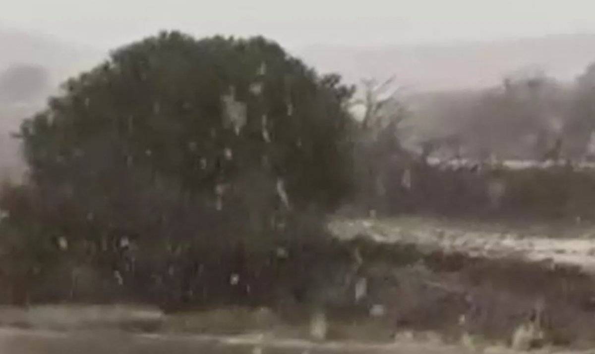 Suudi Arabistan beyaza büründü