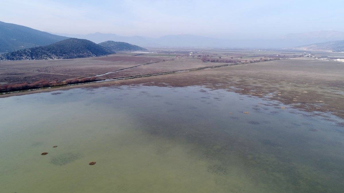 Antalya'da kuruyan Avlan Gölü, koyun ve keçi sürülerine kaldı
