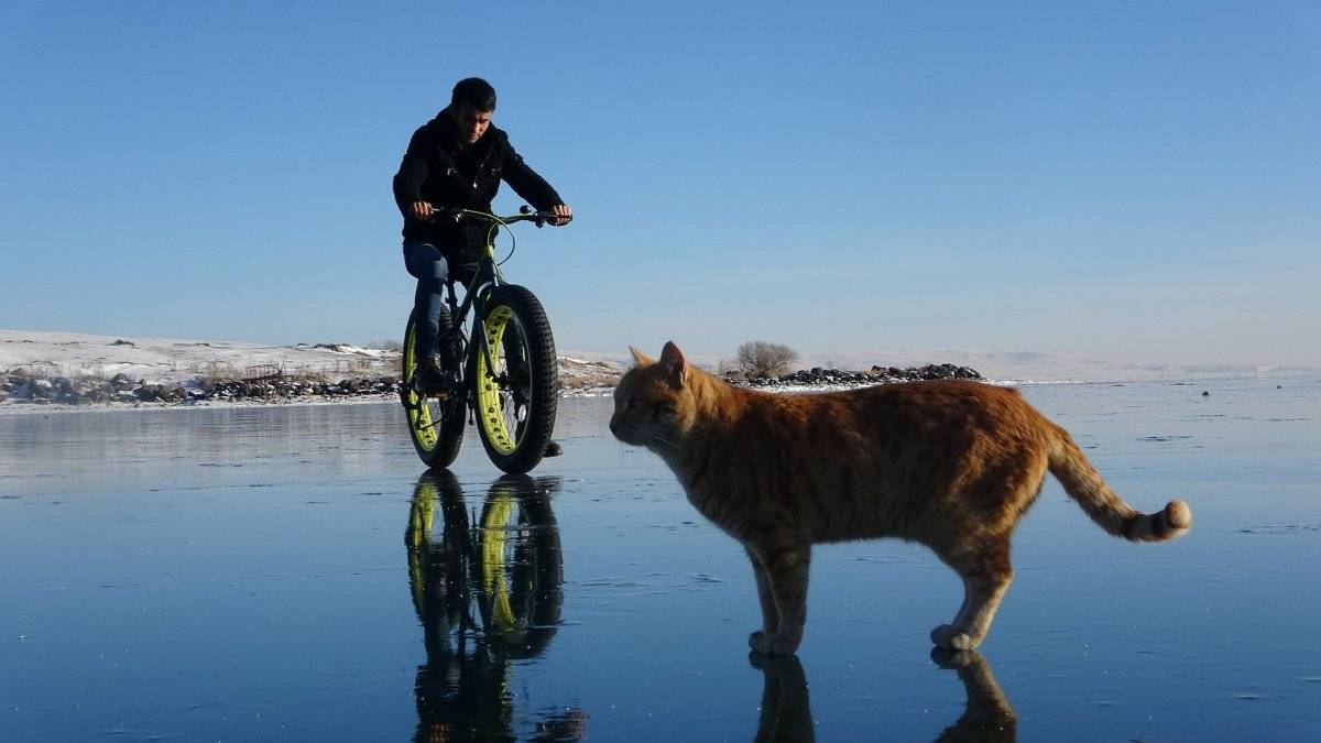 Buz tutan Çıldır Gölü'nde bisiklet keyfi