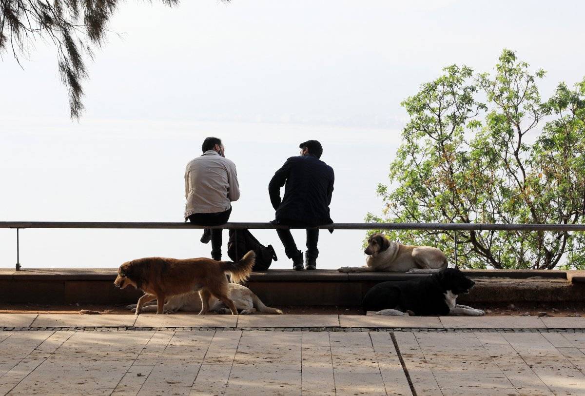 Antalya'da spor ve yürüyüş yapanların korkulu rüyası 'lastik çetesi'