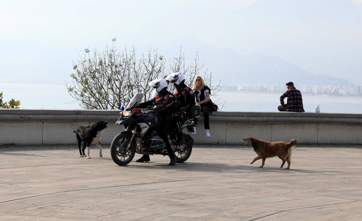 Antalya'da spor ve yürüyüş yapanların korkulu rüyası 'lastik çetesi'