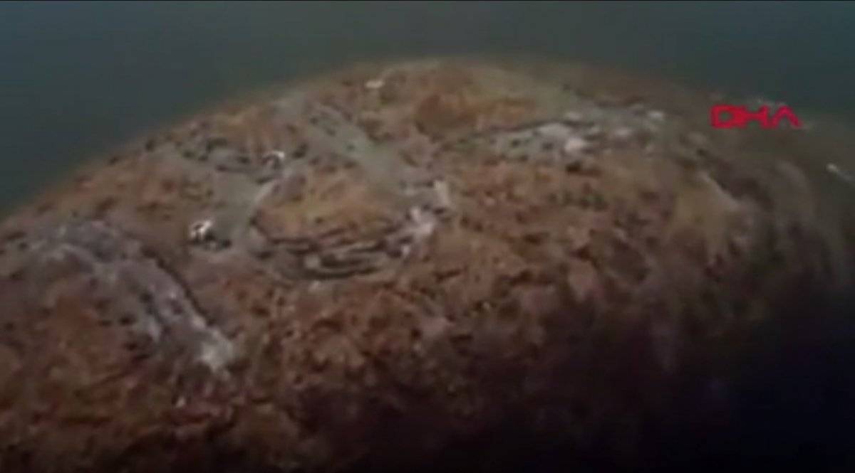 ABD'de denizayısının üzerine ‘Trump’ yazdılar