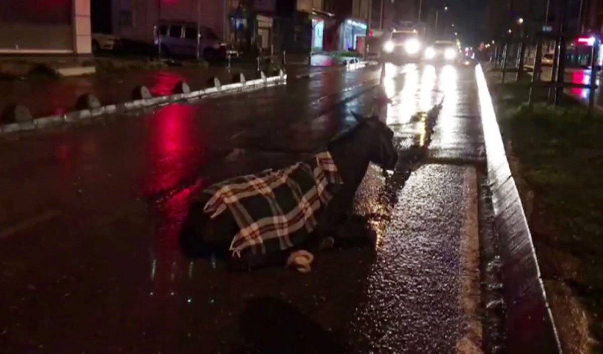 Arnavutköy’de minibüs ata çarptı