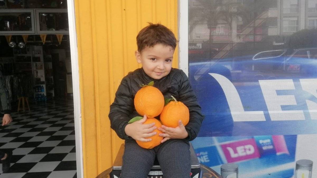 Bu portakalın tanesi 1 kilogram