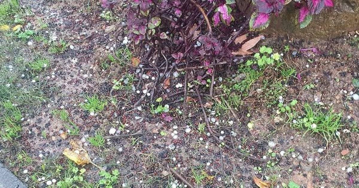 Alanya'da dolu yağışı görüldü