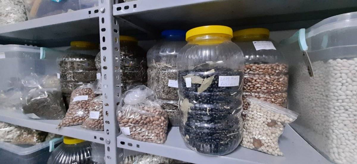 60 yıldır Ata tohumu biriktiriyor