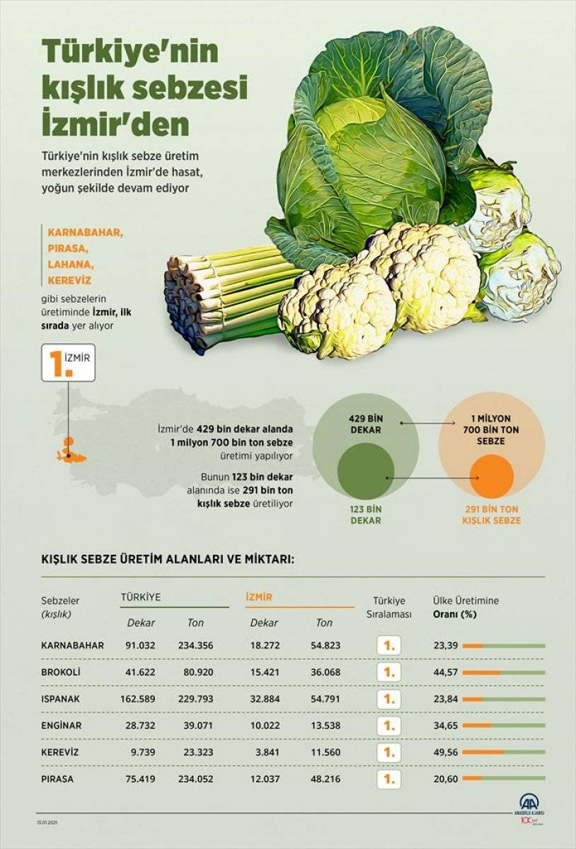 Türkiye'nin kışlık sebzeleri İzmir'den