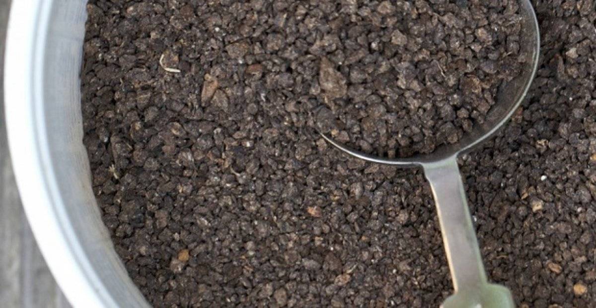 Yarasa gübresi nedir, ne işe yarar? Yarasa gübresi nerelerde kullanılır? Yarasa gübresi faydaları ve fiyatı..