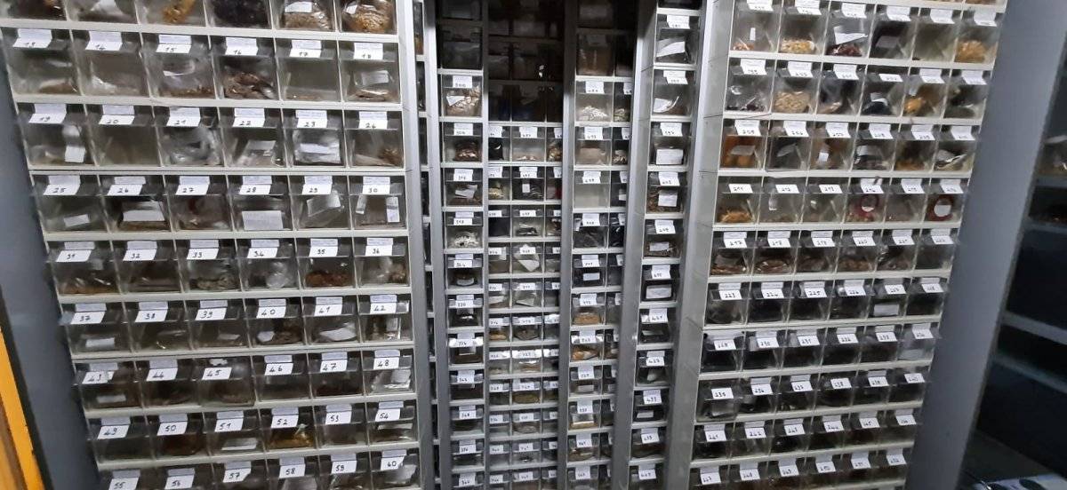 60 yıldır Ata tohumu biriktiriyor