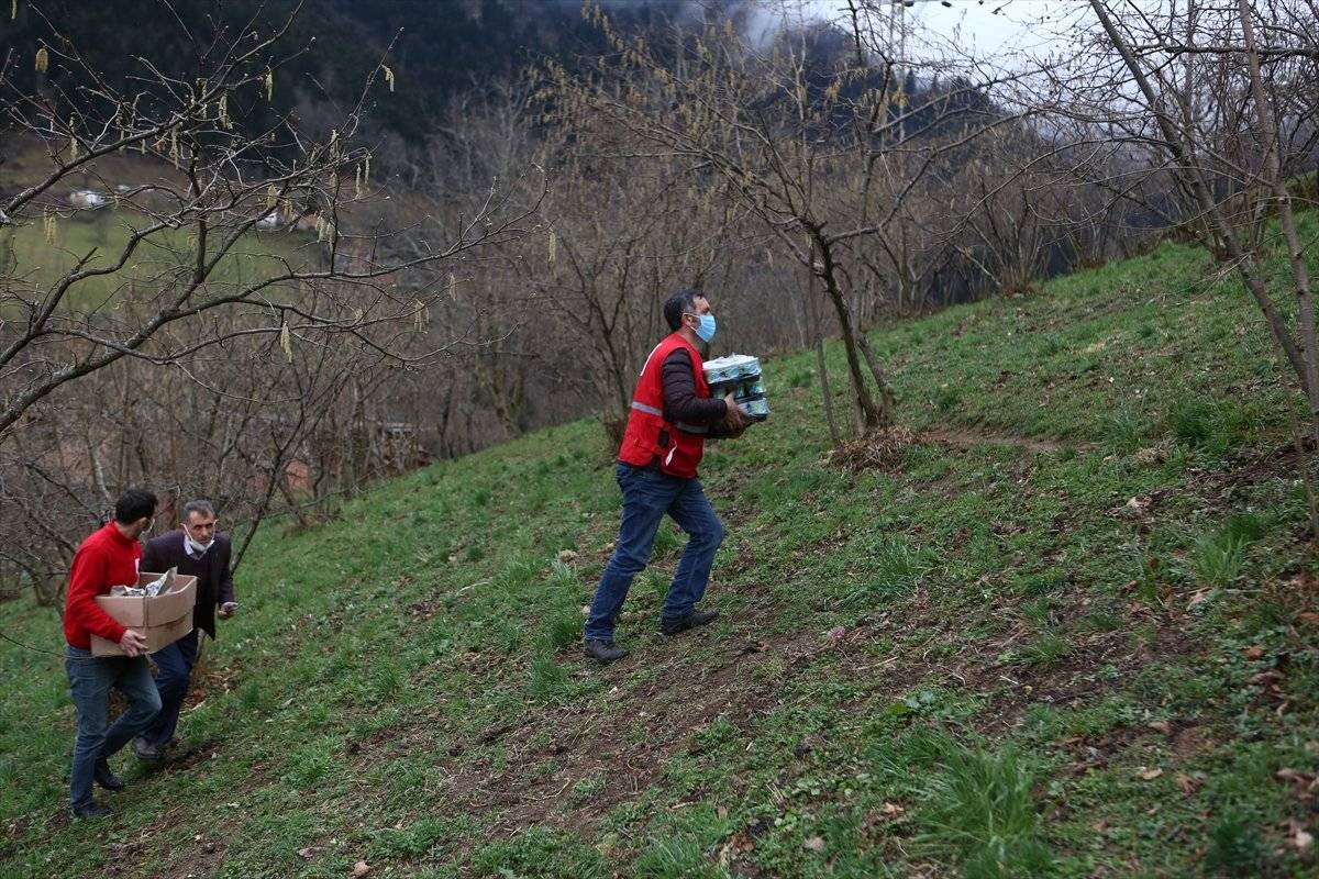 Trabzon'da yangınla yok olan mahallede hasar tespiti yapılıyor