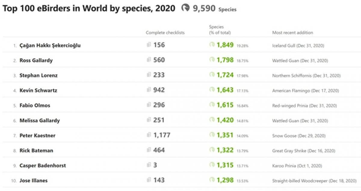 2020'de dünyada en çok kuş türünü, bir Türk gördü
