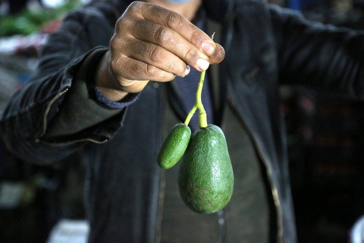 Baby avokado daha pahalı