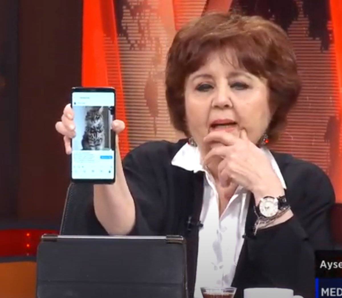 Emin Çapa ölen kedisi için canlı yayında ağladı