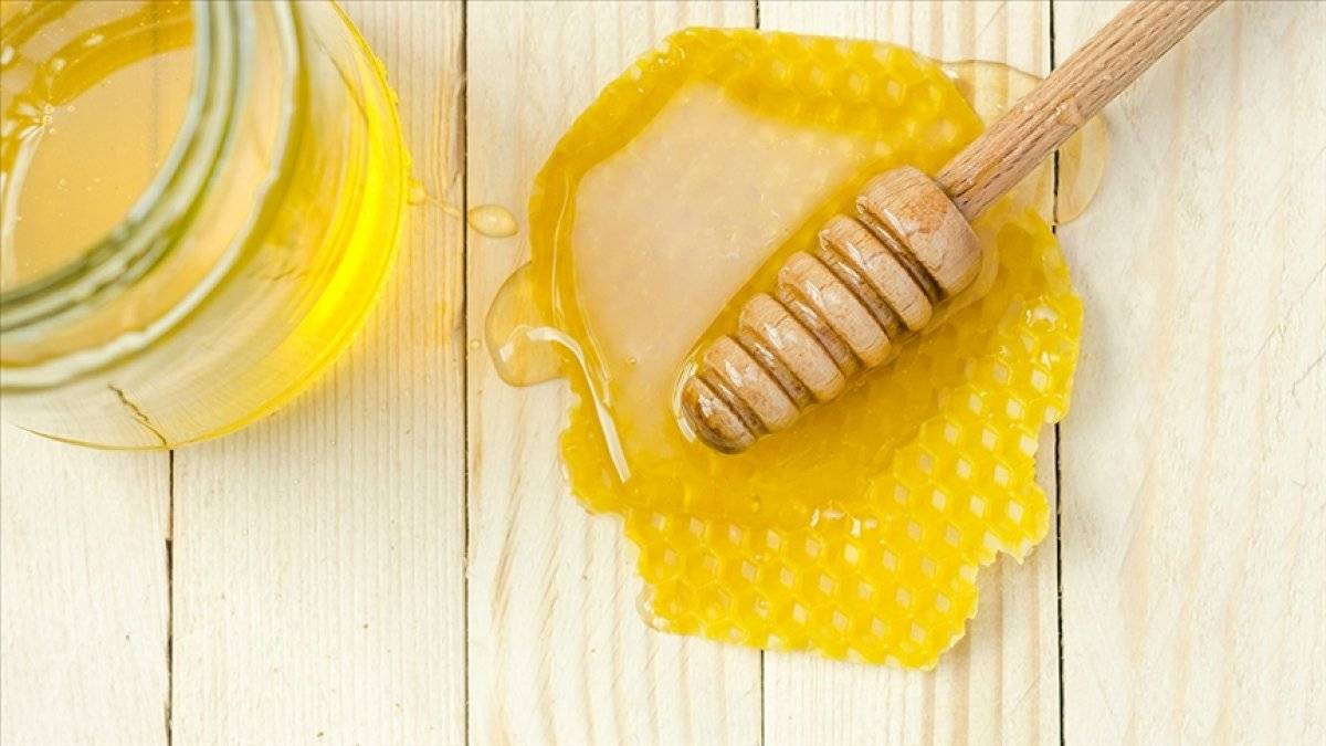 Bal koronavirüse karşı bağışıklığı koruyor