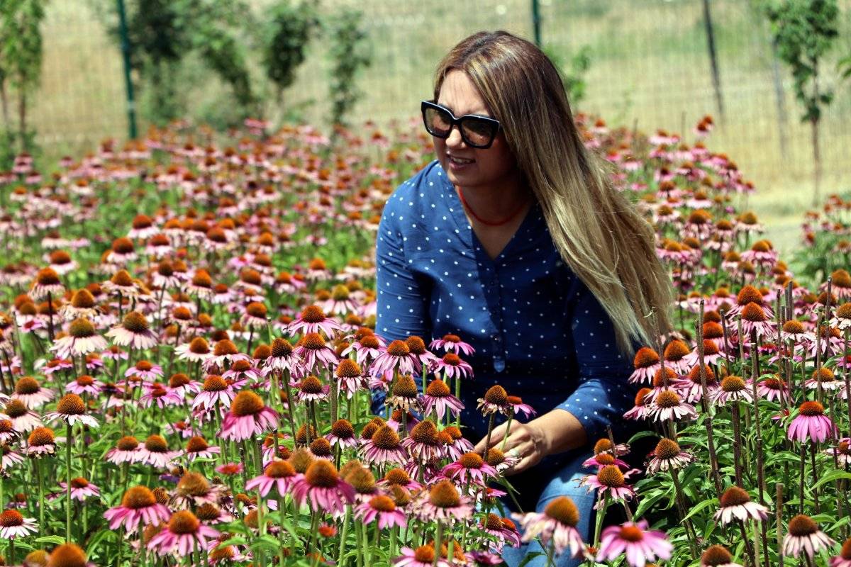 Van'da endemik aromatik ürünler ekiliyor