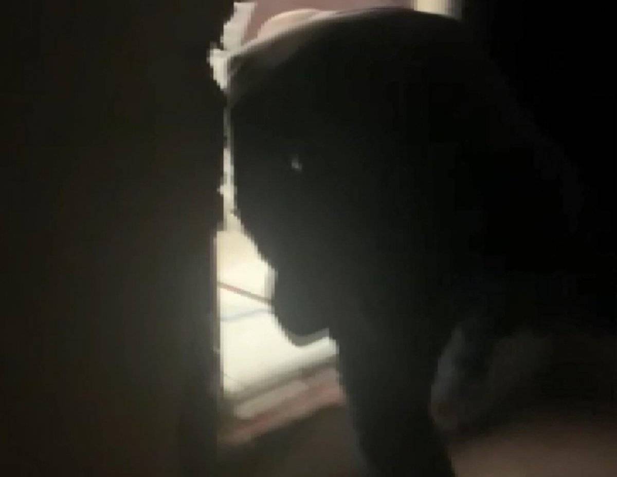 Esenyurt'ta kahvehane içinde gizli geçit ortaya çıktı