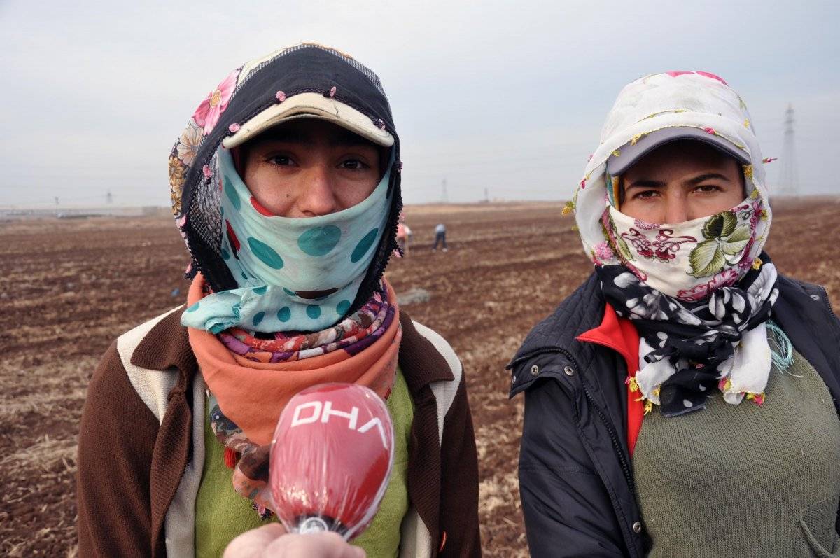 Kadınlar Mardin'de lavanta ekecekler