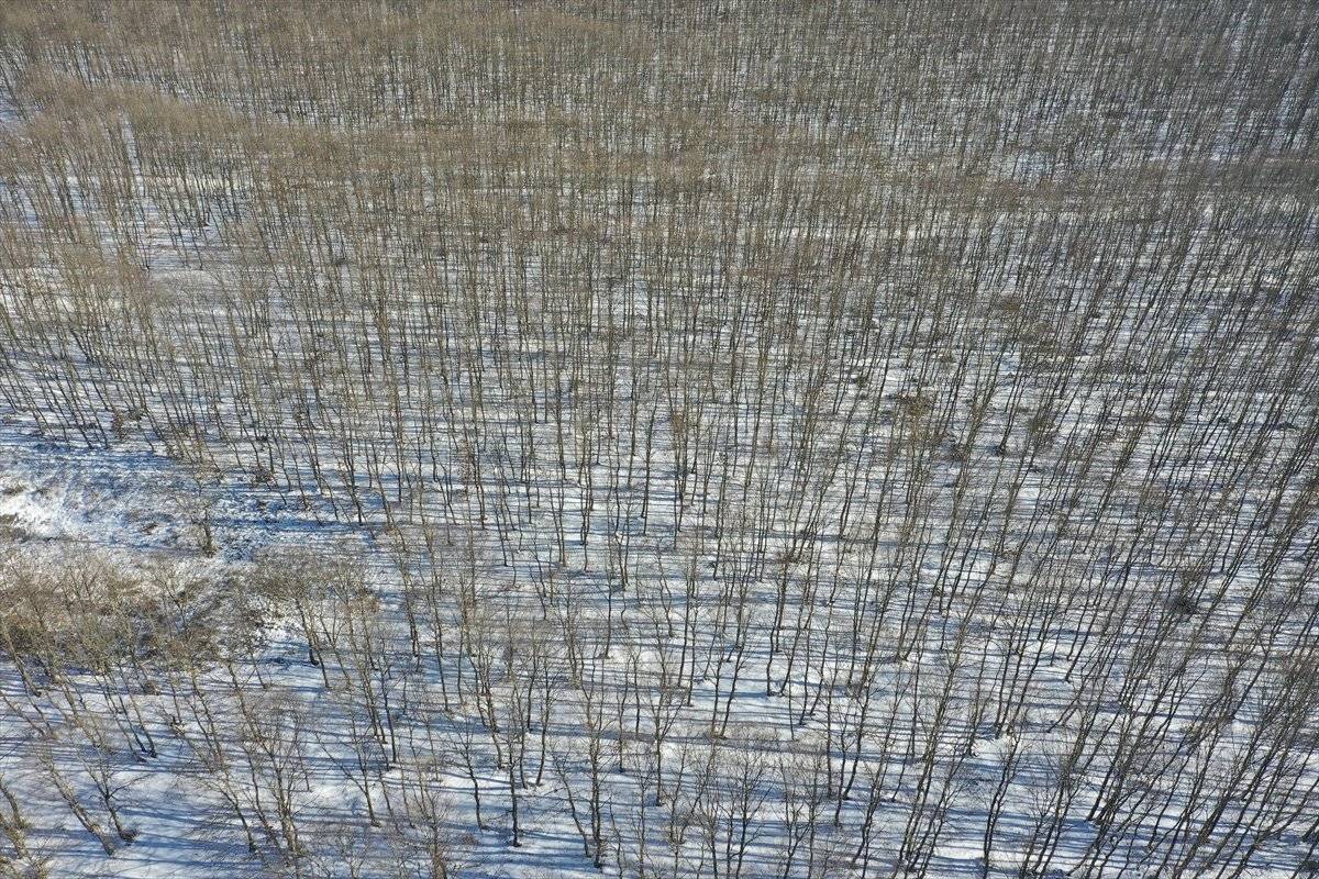 İkiz Göller kış güzelliği