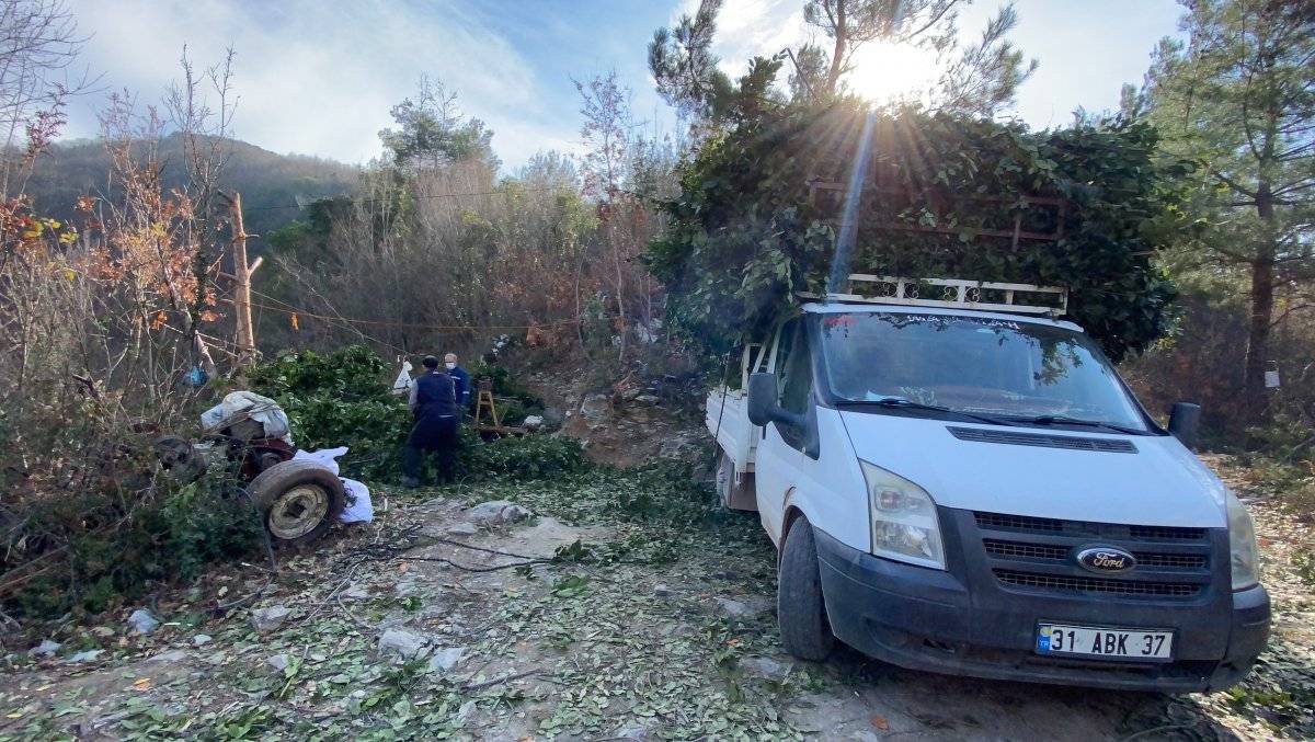 Amanos dağlarından defne toplanıyor