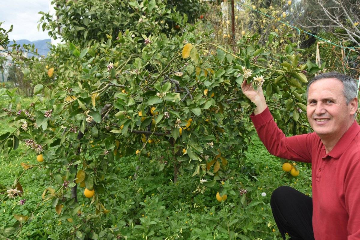 Demre’de kış ortasında bahar yaşanıyor