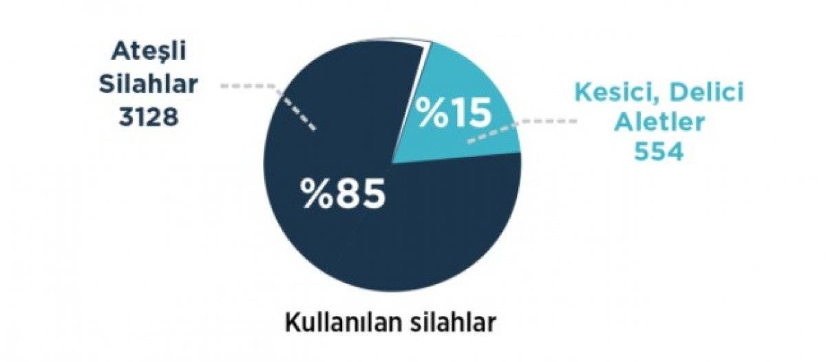 Türkiye'nin 2020 silahlı şiddet haritası